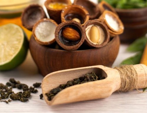 Exploring the Depths of Well-being: Insights from Ayurveda